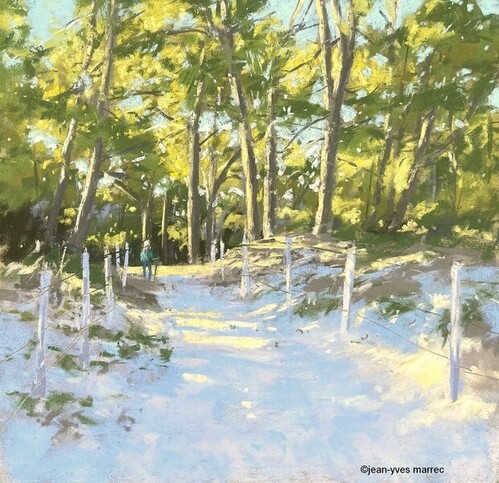 "Le marcheur" pastel sec 26x26 cm (encadr&eacute; 40x40 cm)  disponible &agrave; la galerie Signatures