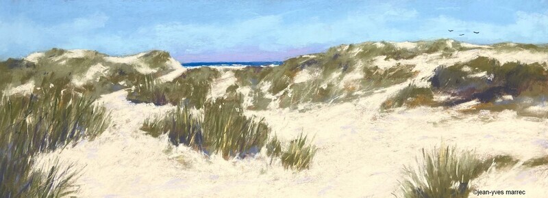 "Tranquille dans les dunes" pastel sec 49x18 cm (encadr&eacute; 62x31 cm) disponible &agrave; la galerie Signatures