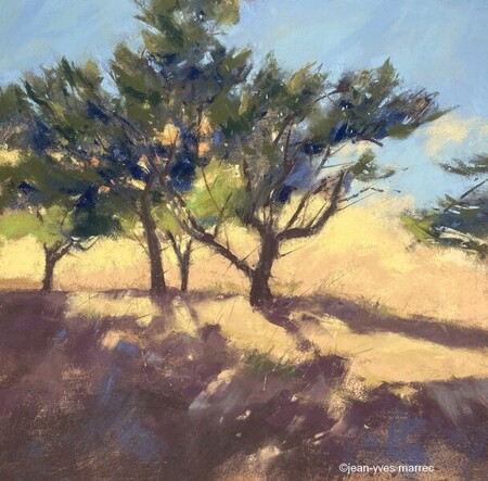 "Lumière d'un soir" pastel sec 26x26 cm (encadré 40x40 cm) disponible à mon atelier