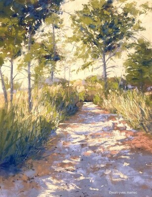 "Senteurs d'été" pastel sec 34x44 cm (encadré sans passe-partout)  disponible à la galerie La Corne au Fer