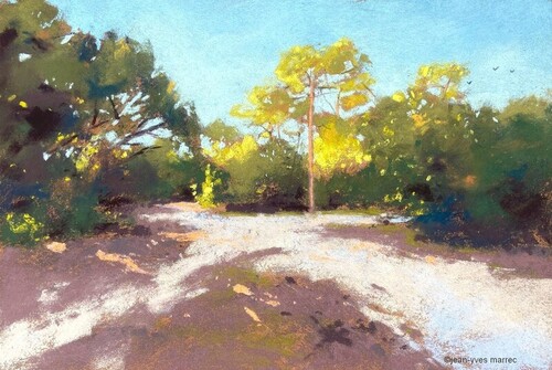 "Le grand pin" pastel sec 31x21 cm (encadré 44x34 cm)  Disponible à mon atelier