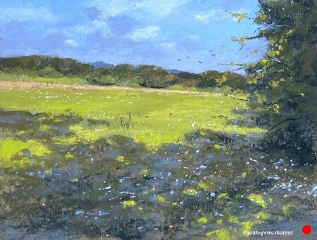 "Douce campagne" pastel sec 36x26 cm   VENDU