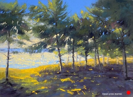 "Scintillements du soir" pastel sec 36x26 cm  VENDU