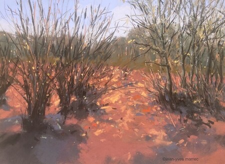 "Vers la clairi&egrave;re" pastel sec 36x26 cm (encadr&eacute;50x40 cm) disponible &agrave; la galerie La Corne au Fer