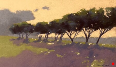 "Pins au couchant" pastel sec 36x21 cm   VENDU