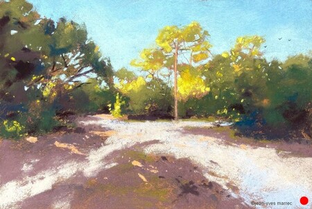 "Le grand pin" pastel sec 31x21 cm   VENDU