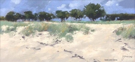 "Pins bord de mer" pastel sec 38x18 cm (encadr&eacute; 51x31 cm)  disponible &agrave; la galerie La Corne au Fer