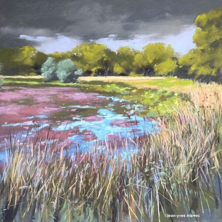 "au bord de l'étang" pastel sec 35x35 cm (encadré 50x50 cm) Disponible à la galerie Signatures