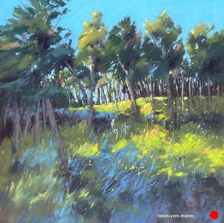 "Doude fraîcheur" pastel sec 35x35 cm   VENDU