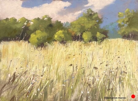 "Campagne" pastel sec 36x26 cm  VENDU