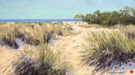 "A la pointe du Cap Ferret" pastel sec 46x26 cm  VENDU