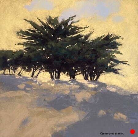 "En haut de la colline" pastel sec 36x21 cm   VENDU