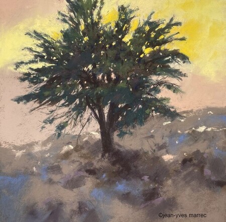 "L'arbre" pastel sec 26x26 cm (encadr&eacute; 40x40 cm)   disponible &agrave; mon atelier