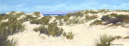 "Tranquille dans les dunes" pastel sec 49x18 cm (encadr&eacute; 62x31 cm) disponible &agrave; mon atelier