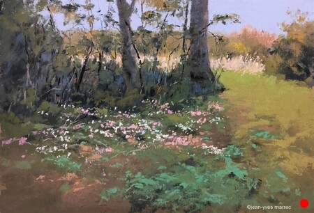"Beaux cyclamens sauvages" pastel sec 31x21 cm  VENDU